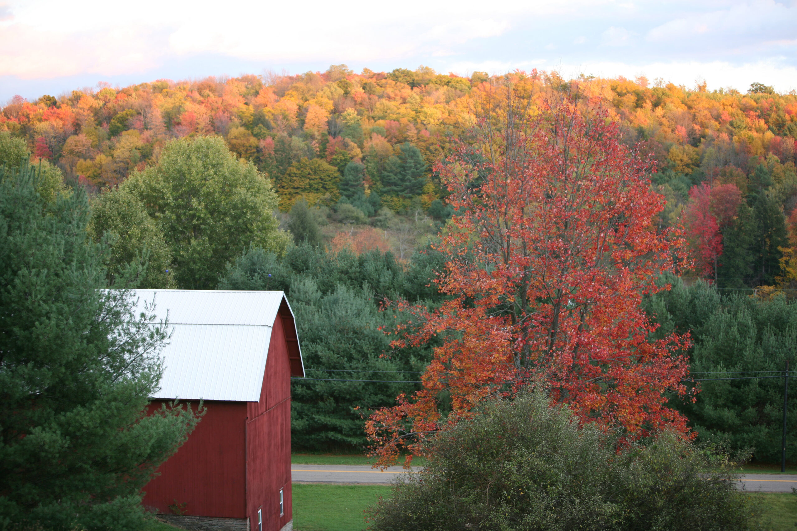 fall foliage in pennsylvania c