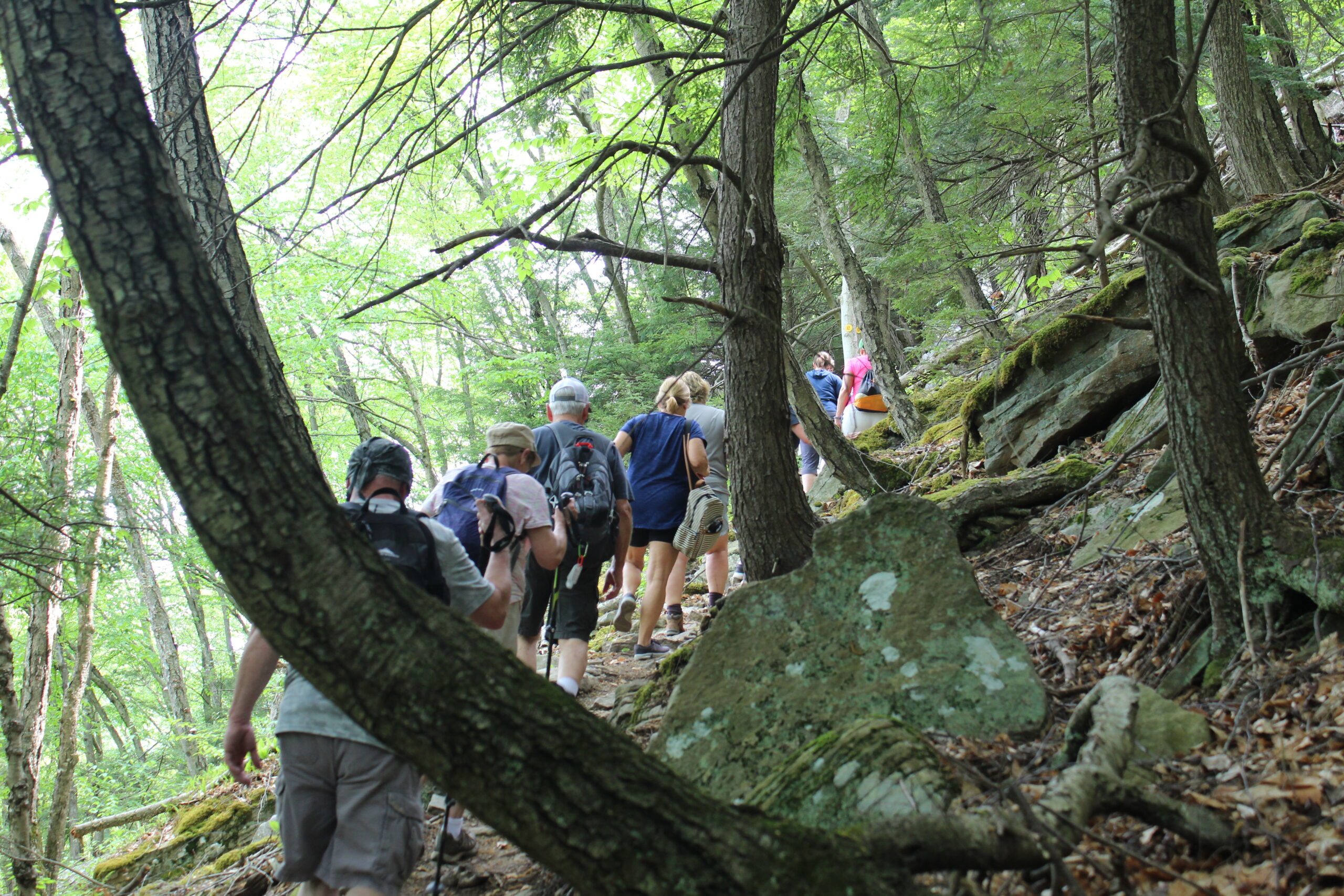 Hiking | Endless Mountains Heritage Region