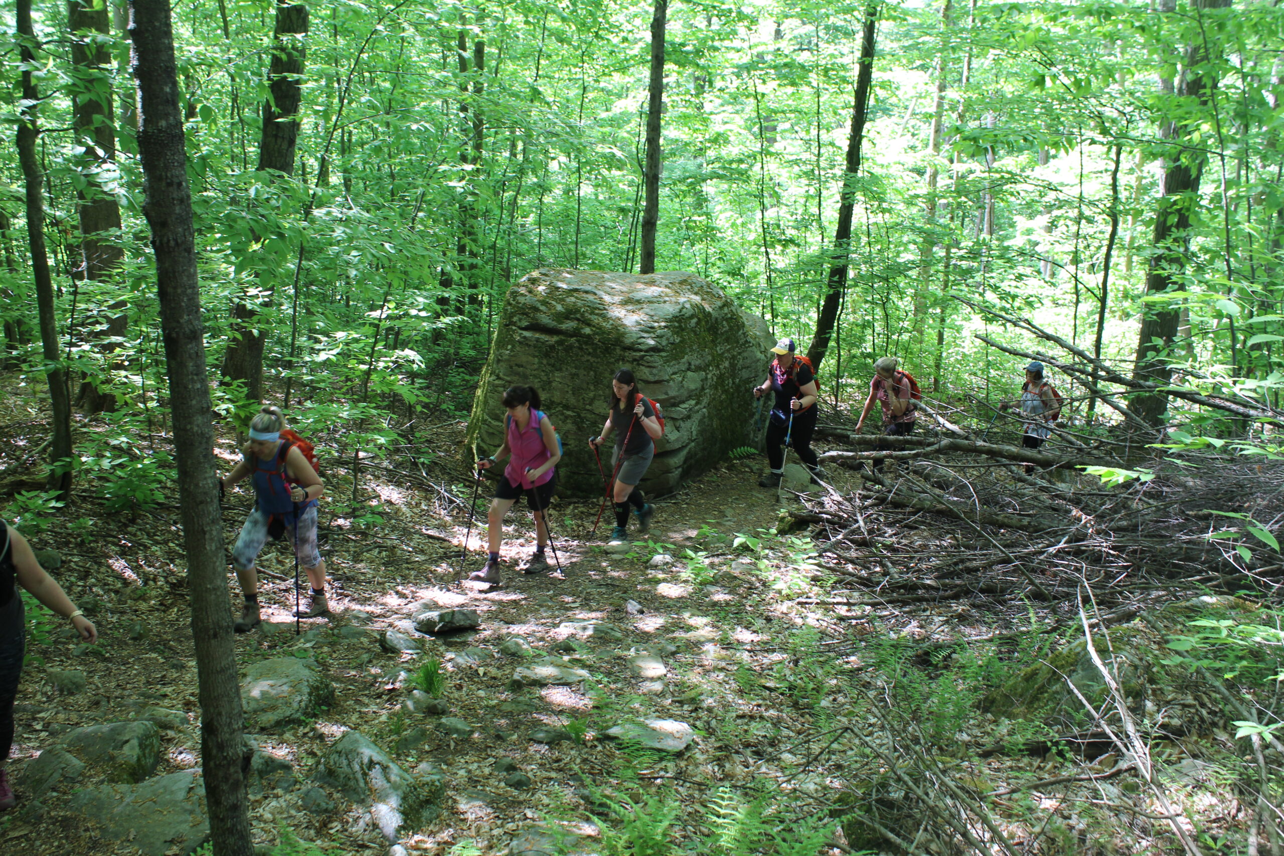 group hiking