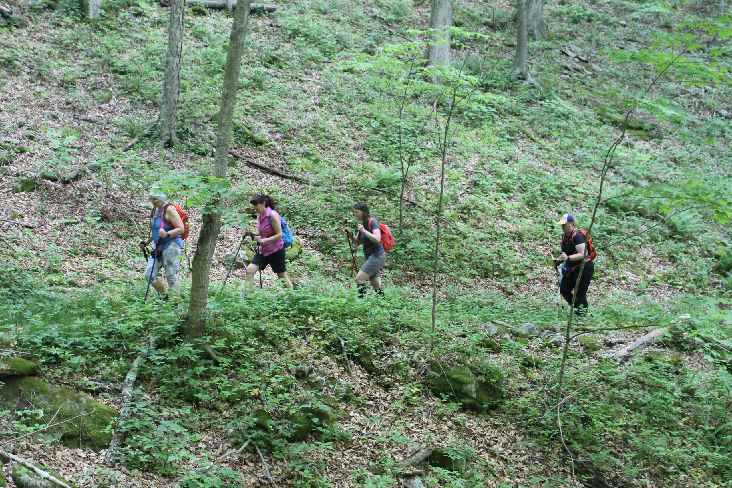 hiking trails