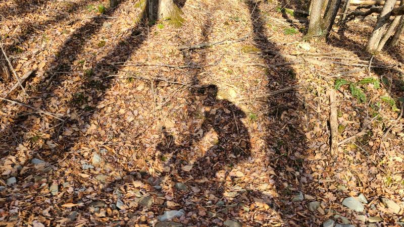 bikepacking in Pennsylvania