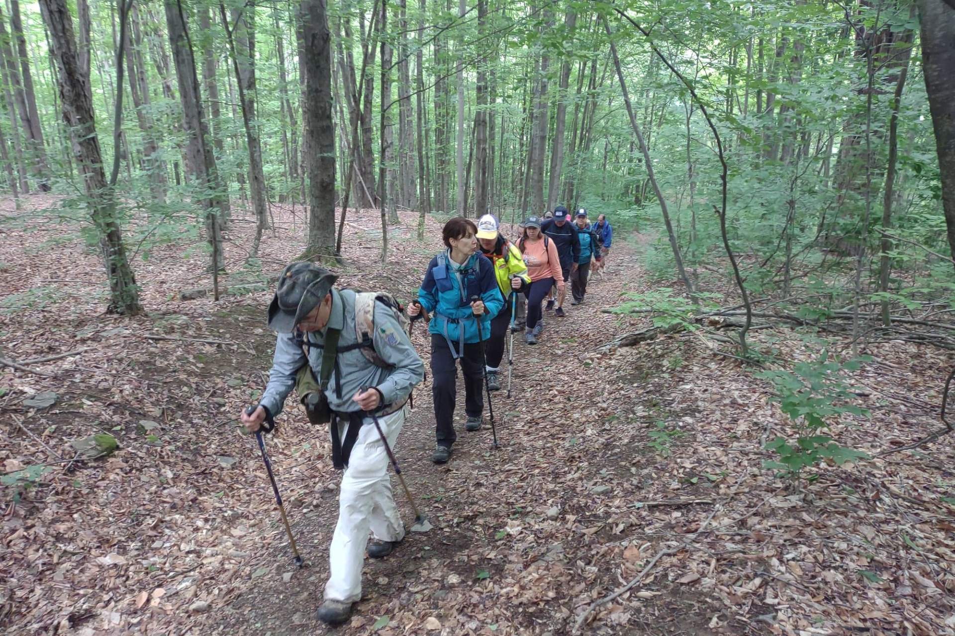 Small Business Support Hikes Historic Barclay Mountain