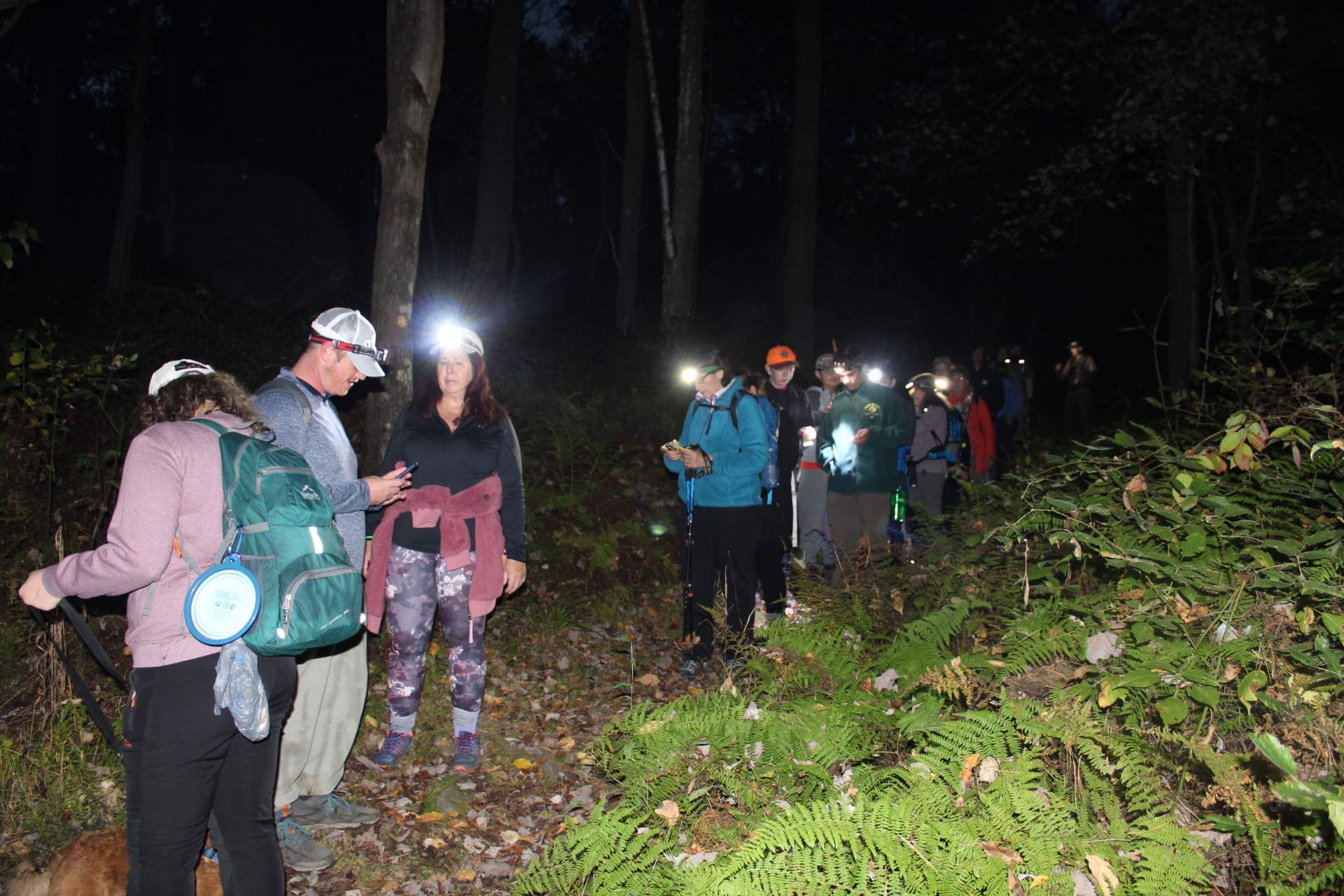 Small Business Support Hikes: Mt. Pisgah State Park Night Hike and ...