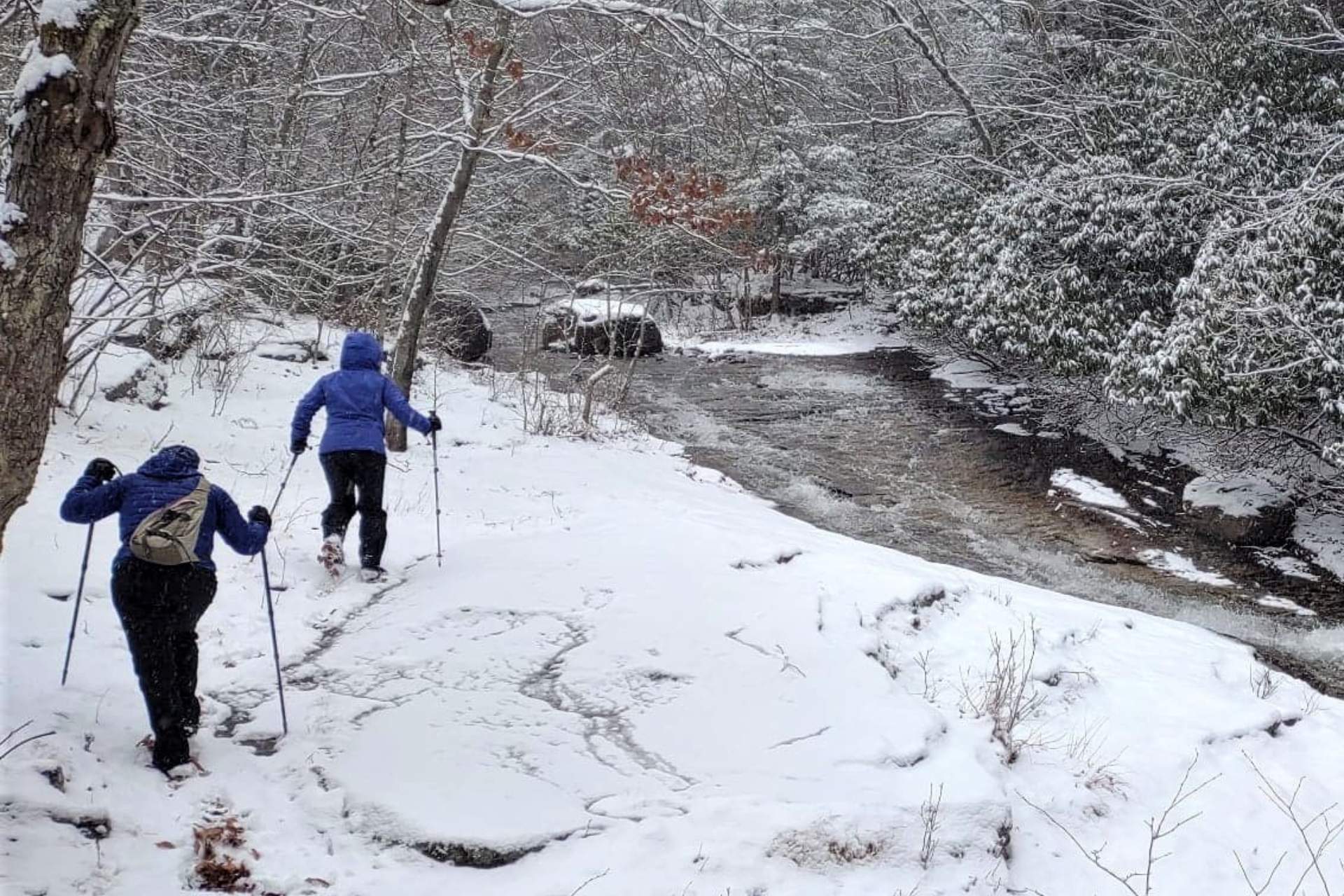 Winter Hiking at Vosburg Neck State Park